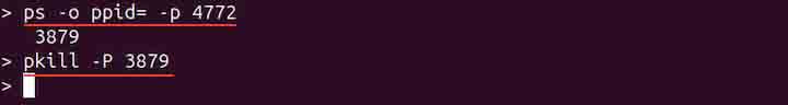 pkill Command in Linux4