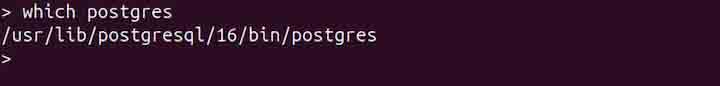 postgres Command in Linux3