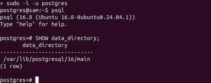 postgres Command in Linux6