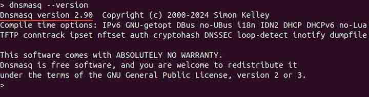 Prerequisites for Using dnsmasq Command