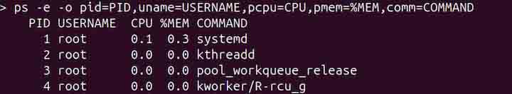 ps Command in Linux10