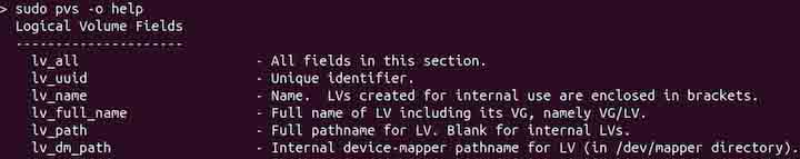 pvs Command in Linux4