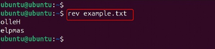 rev Command in Linux2