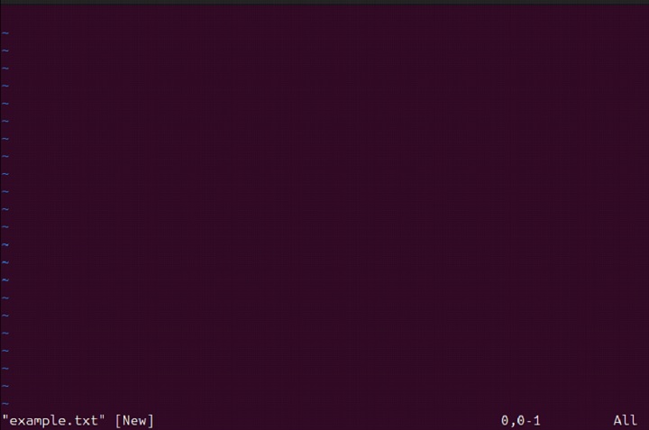rvim Command in Linux1