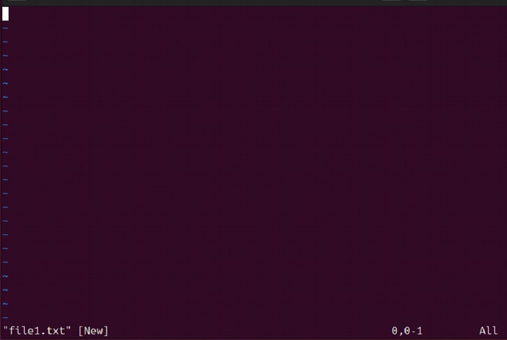 rvim Command in Linux2