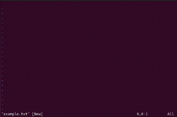 rvim Command in Linux3