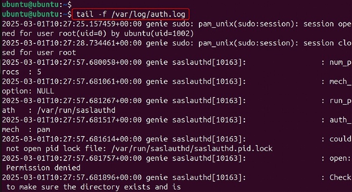 saslauthd Command in Linux21