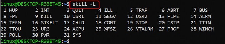 skill Command in Linux2