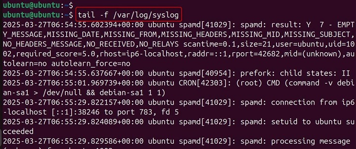 spamd Command in Linux21
