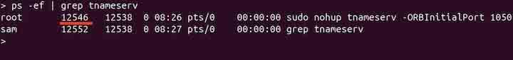 tnameserv Command in Linux5