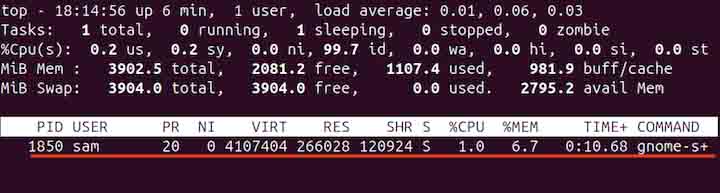 top Command in Linux3