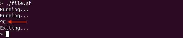 trap Command in Linux3