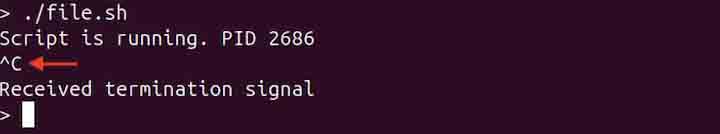 trap Command in Linux4