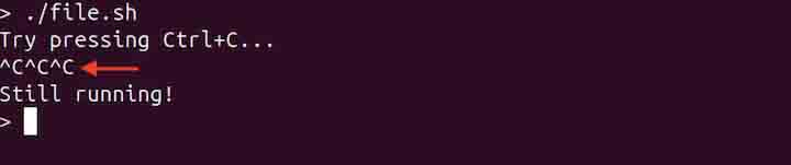 trap Command in Linux5