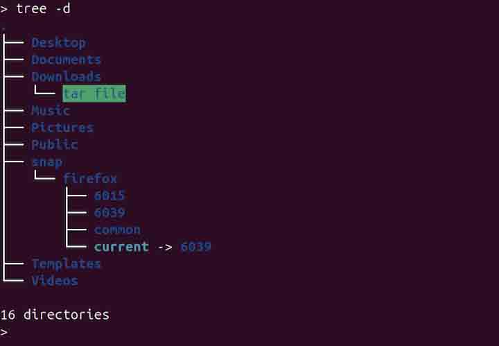 tree Command in Linux5