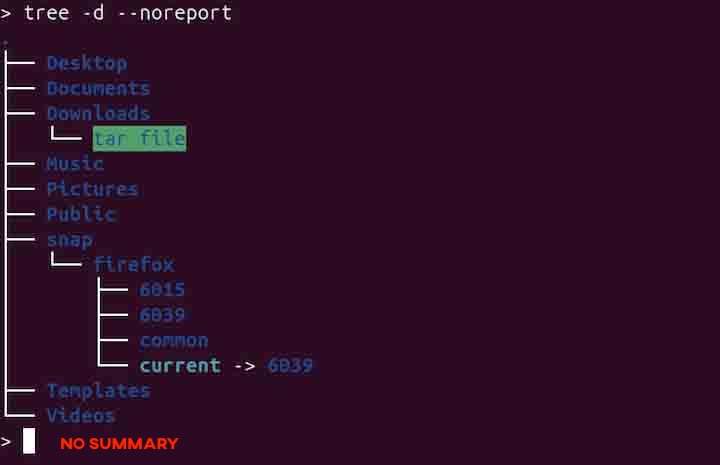 tree Command in Linux9