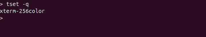 tset Command in Linux5