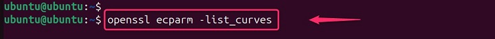 Using Predefined Elliptic Curve